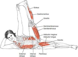 anantasana, from yogaantomy, but different site
